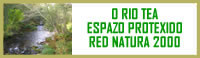 banner rio tea