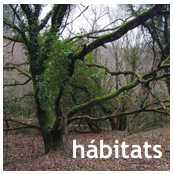 habitats